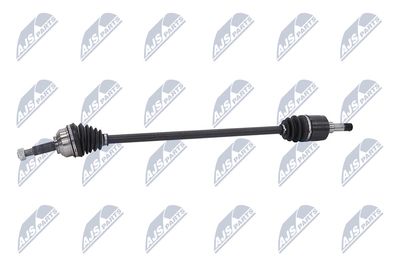 PLANETARA NTY NPWCH106 23