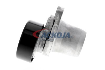 INTINZATOR CUREA CUREA DISTRIBUTIE ACKOJA A520078 12