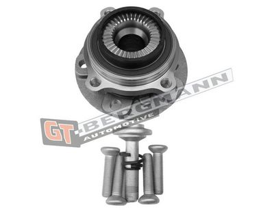 GT-BERGMANN Automotive Rato guolio komplektas