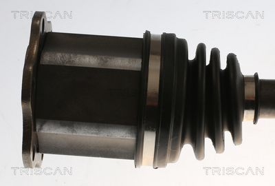 PLANETARA TRISCAN 8540296061 1