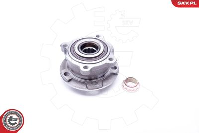 Wheel Bearing Kit 29SKV176