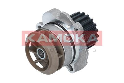 Water Pump, engine cooling T0027