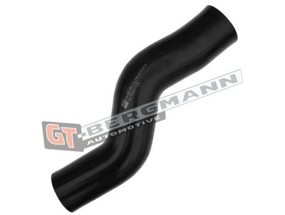 GT-BERGMANN Automotive - Hadica plniaceho vzduchu (hadica turba) VW , GT52-122