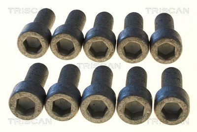 Boulon de fixation, bras transversal TRISCAN
