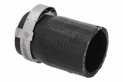 FURTUN EAR SUPRAALIMENTARE ACKOJA A520874 2