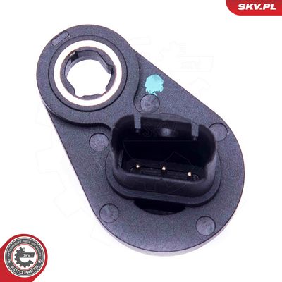 SKV-17SKV494