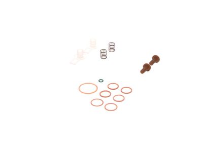 SET REPARATIE POMPA COMBUSTIBIL BOSCH 2447010004 12