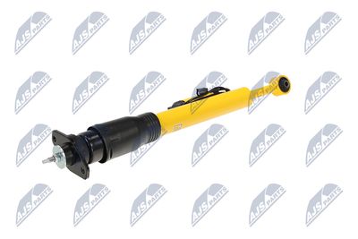 AMORTIZOR NTY ACH123 4