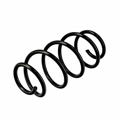 ARC SPIRAL EIBACH R10569 16
