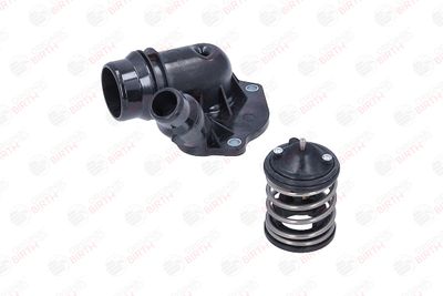 FLANSA LICHID RACIRE BIRTH 81103 3