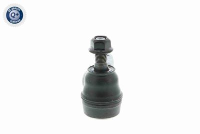 CAP DE BARA ACKOJA A321163 7