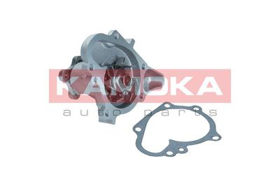 Water Pump, engine cooling T0159