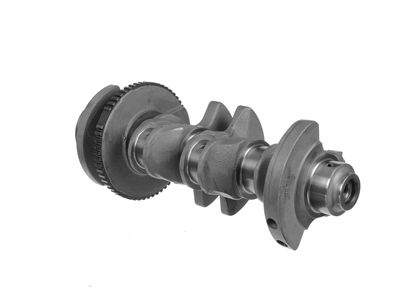 ARBORE COTIT ET ENGINETEAM HK0216 21