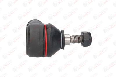 CAP DE BARA BIRTH RS1054 10