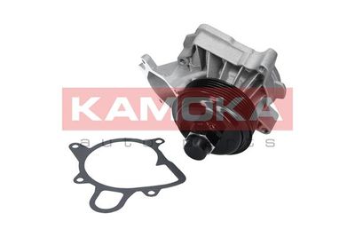 Water Pump, engine cooling T0060