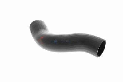 FURTUN EAR SUPRAALIMENTARE ACKOJA A370110 11