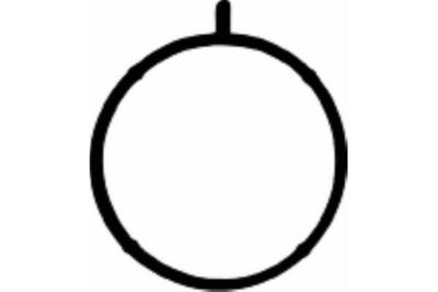 DICHTUNG ANSAUGKRüMMERGEHäUSE