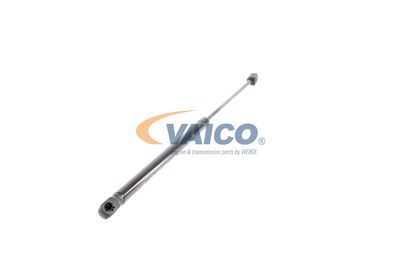 GASFEDER KOFFER-/LADERAUM VAICO V402021 50
