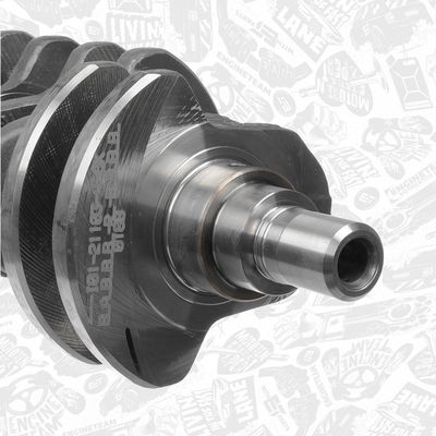 ARBORE COTIT ET ENGINETEAM HK0205 4