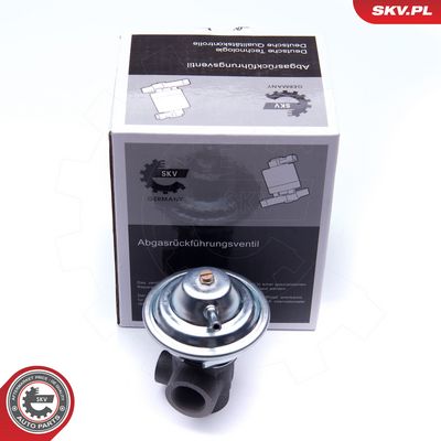 AGR-Ventil ESEN SKV 14SKV187