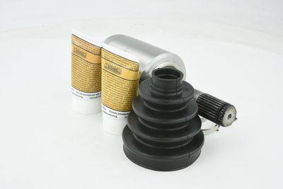 SET ARTICULATIE PLANETARA FEBEST 2011NITLH 34