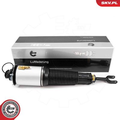 Air Suspension Strut 58SKV700