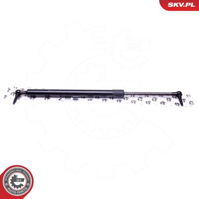 Dujinė spyruoklė, bagažinė