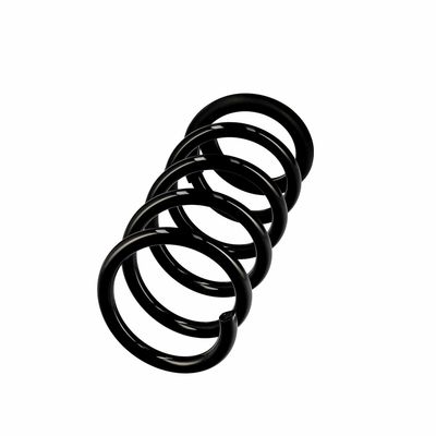 ARC SPIRAL EIBACH R10661 14