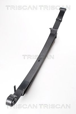 TRISCAN Federnpaket