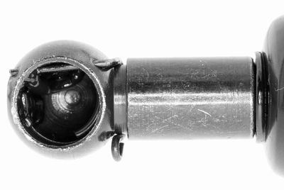 GASFEDER KOFFER-/LADERAUM VAICO V950404 2