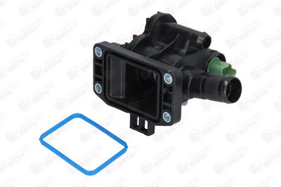 FLANSA LICHID RACIRE BIRTH 8910 9