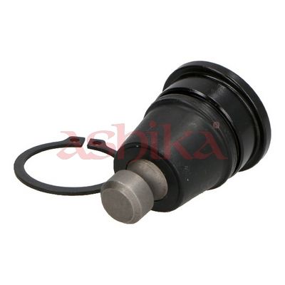 Šarnyras / girgždukas