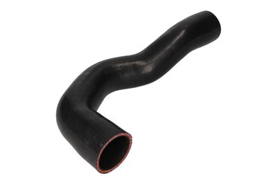 FURTUN EAR SUPRAALIMENTARE BIRTH 55646 11