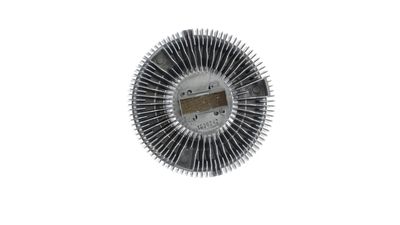 48 Artikelbild