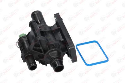 FLANSA LICHID RACIRE BIRTH 8910 4