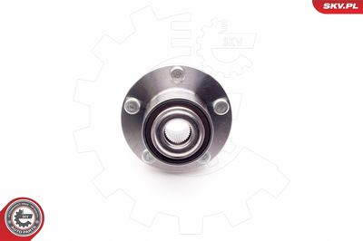 Wheel Bearing Kit 29SKV128