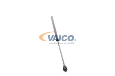 GASFEDER KOFFER-/LADERAUM VAICO V202878 24