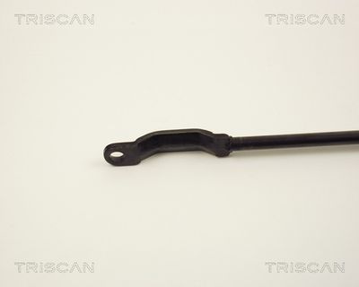 AMORTIZOR PORTBAGAJ KAWE 87102907 2