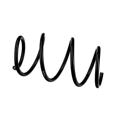 ARC SPIRAL EIBACH R10127 8