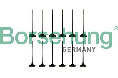 SET SUPAPE SUPAPă ADMISIE/EVACUARE Borsehung B10336