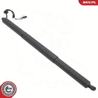 Galinių durų elektros variklis