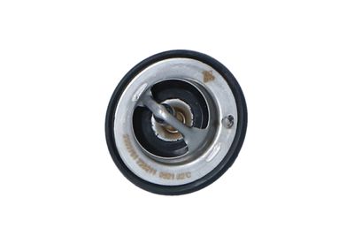TERMOSTAT LICHID RACIRE NRF 725211 11