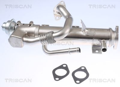 Chladič, recirkulace spalin TRISCAN 8813 29329