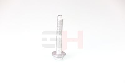 SURUB CAPAT DE AX GH GH392528 20