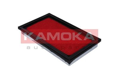 Air Filter F205301