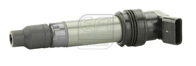запалителна бобина EFI AUTOMOTIVE 155273