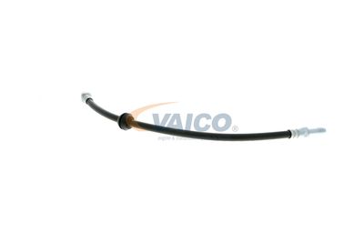 FURTUN FRANA VAICO V204107 29