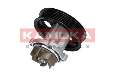 Water Pump, engine cooling T0014