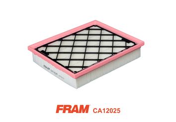 FRAM CA12025 Воздушный фильтр  для FORD USA  (Форд сша Едге)