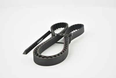 CUREA DE DISTRIBUTIE FEBEST 10140F14S3 17